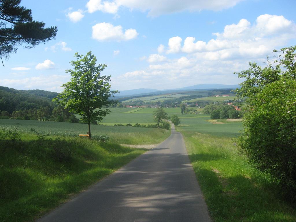 Gardenview Apartments & Suites Bei Bad Kissingen Nüdlingen Dış mekan fotoğraf